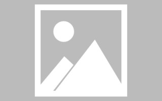 启东如何制作报表小程序（如何制作报表小程序软件）